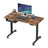 Height Adjustable Electric Standing Desk - 120L - Particleboard - Memory Function