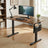 Electric Standing Desk - 60L - Steel - Height Adjustable