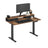 Electric Standing Desk - Wood and Steel - Rustic Brown