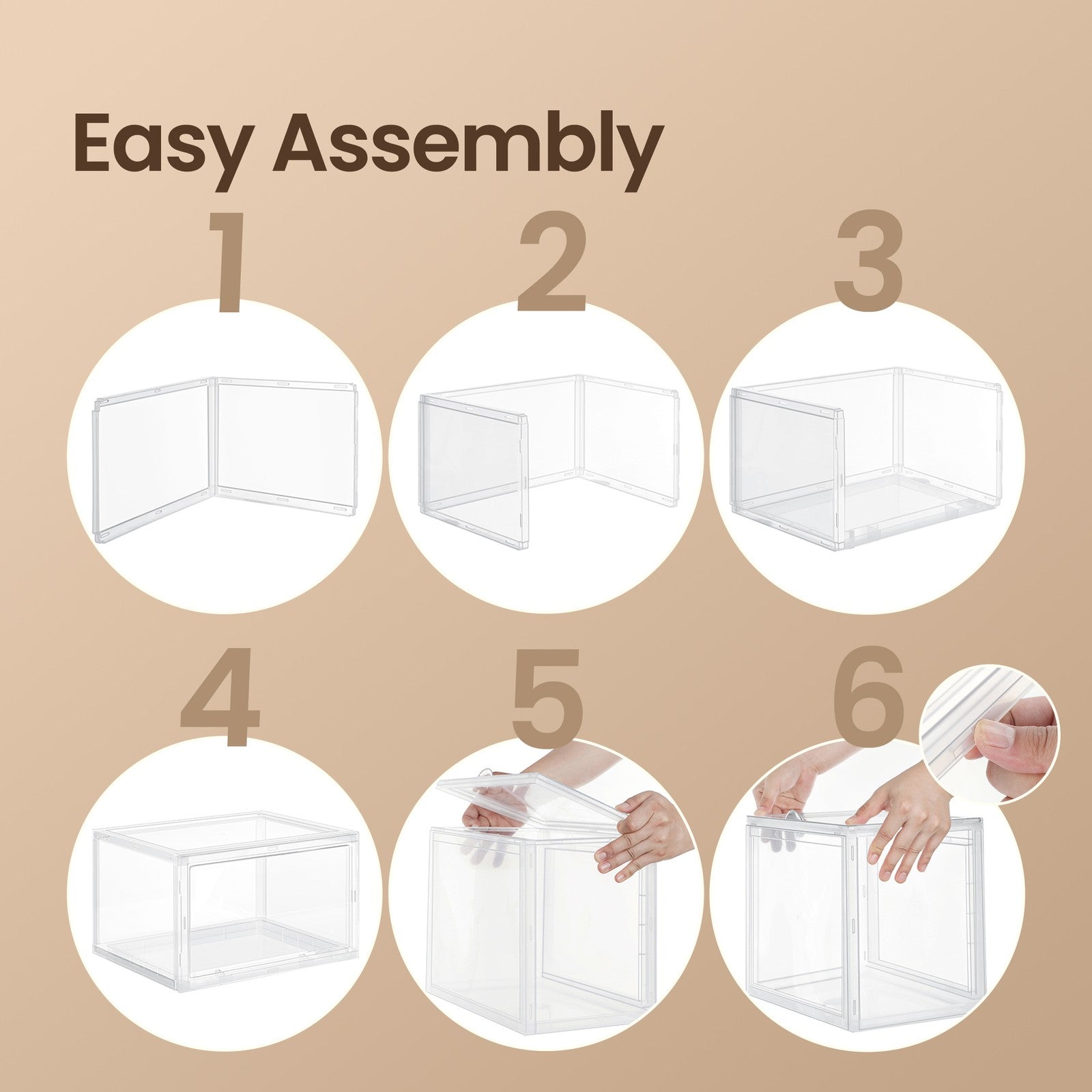 Pack of 3 Shoe Boxes - PP Body and PS Front Door - Transparent