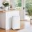 Pedal Rubbish Bin - Stainless Steel - White - Soft-Close Lid with Inner Bucket