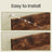 Floating Wall Shelves - 38 - Particleboard - Hidden Mounting System