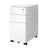 Steel File Cabinet - 30L - Mobile Pedestal
