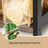 2 Tier Storage Rack - 42L - MDF - Versatile Use for Kitchen & Office