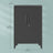 Metal Storage Cabinet - Steel - Ink Black - Lockable with Shelves for Home and Office