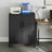 File Cabinet - Steel - Matte Grey - Lockable with Storage Shelves