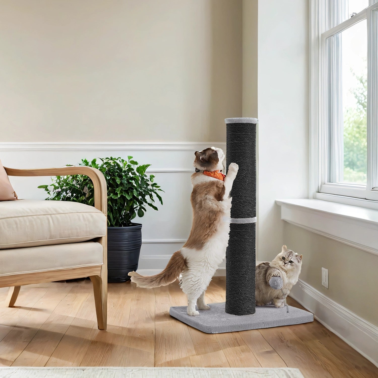 Cat Scratching Post - 85L - Sisal - Spring Pompom