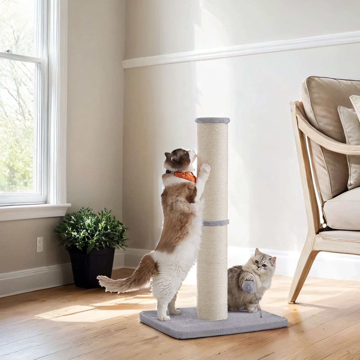 Cat Scratching Post - 85L - Sisal - Spring Pompom with Bell