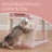 Cat Tree - PCT051P01 - Jelly Pink - Widened Perch for Large Cats and Kittens