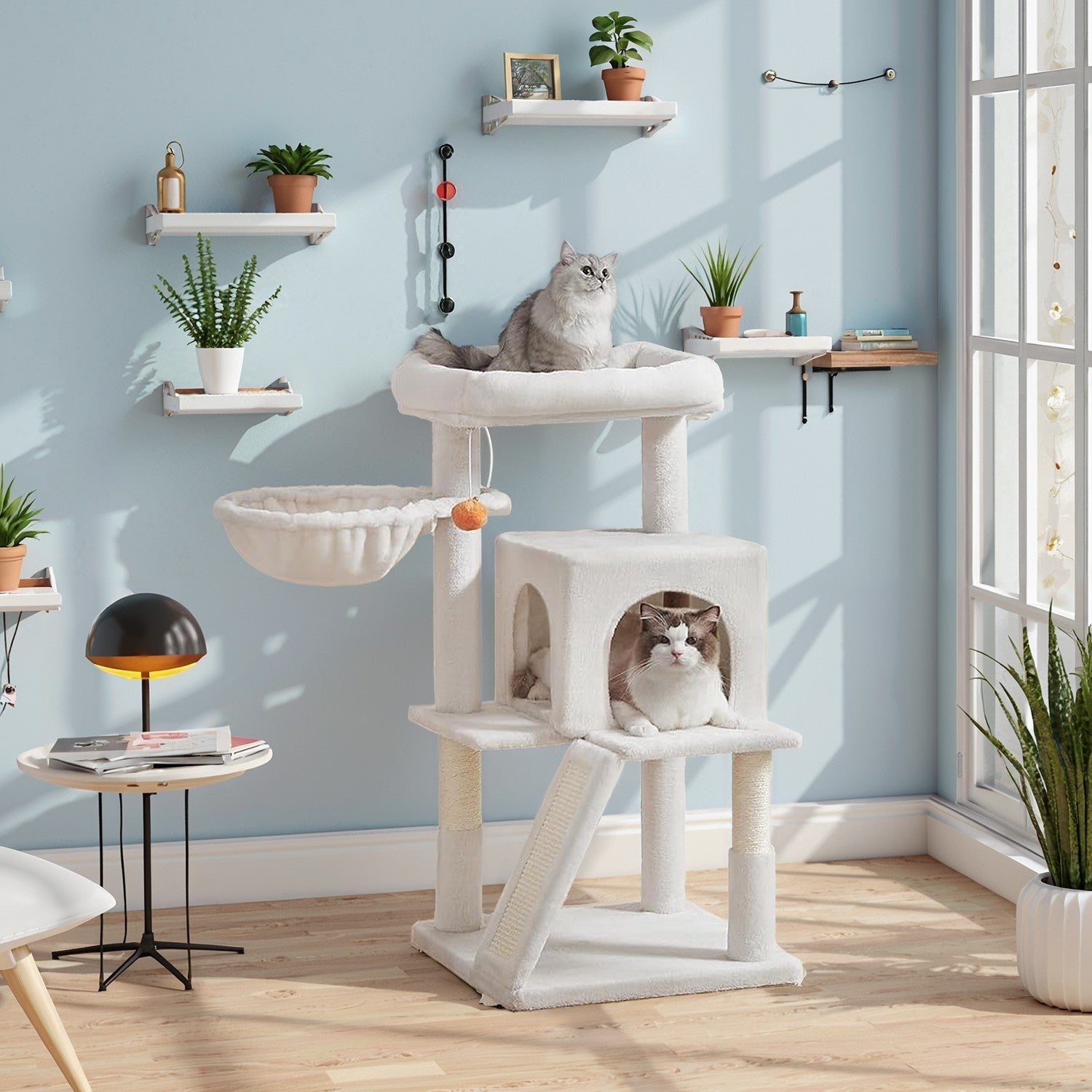 Cat Tree - PCT051P01 - Jelly Pink - Widened Perch for Large Cats and Kittens