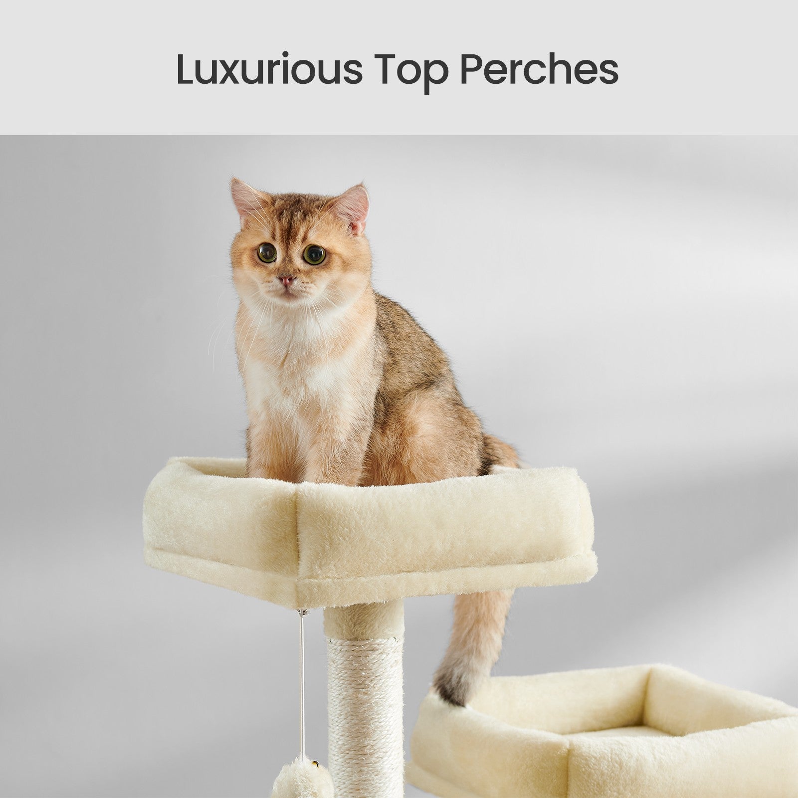 Large Cat Tree - Engineered Wood - Smoky Gray - 13 Scratching Posts