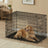 XXXL Large Pet Cage - Steel and Plastic - Black - with Removable Tray