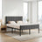 Metal Platform Bed - 90L - Steel - Upholstered Headboard