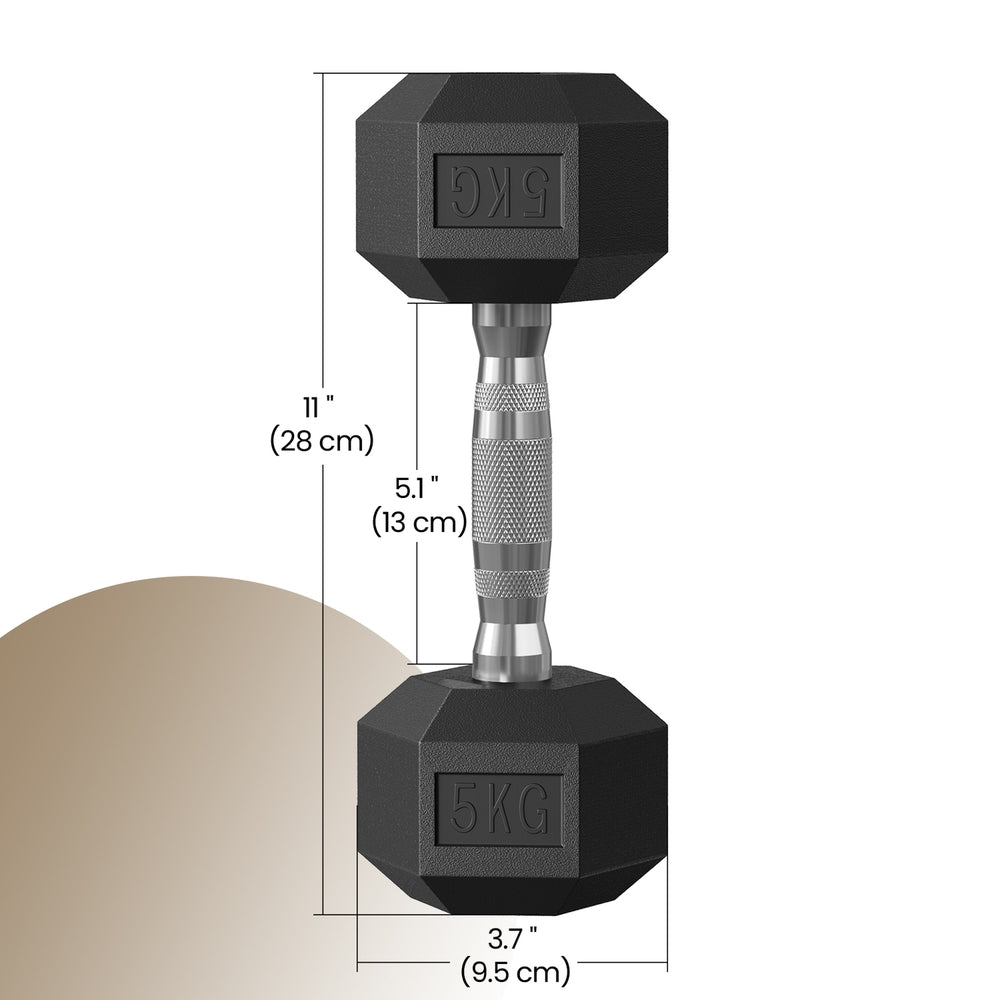Pair of Hex Dumbbells - 10kg - Plastic - Anti-Rolling Design
