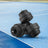 Dumbbell Set - Plastic-Coated - Ink Black - Adjustable with Extra Barbell Bar