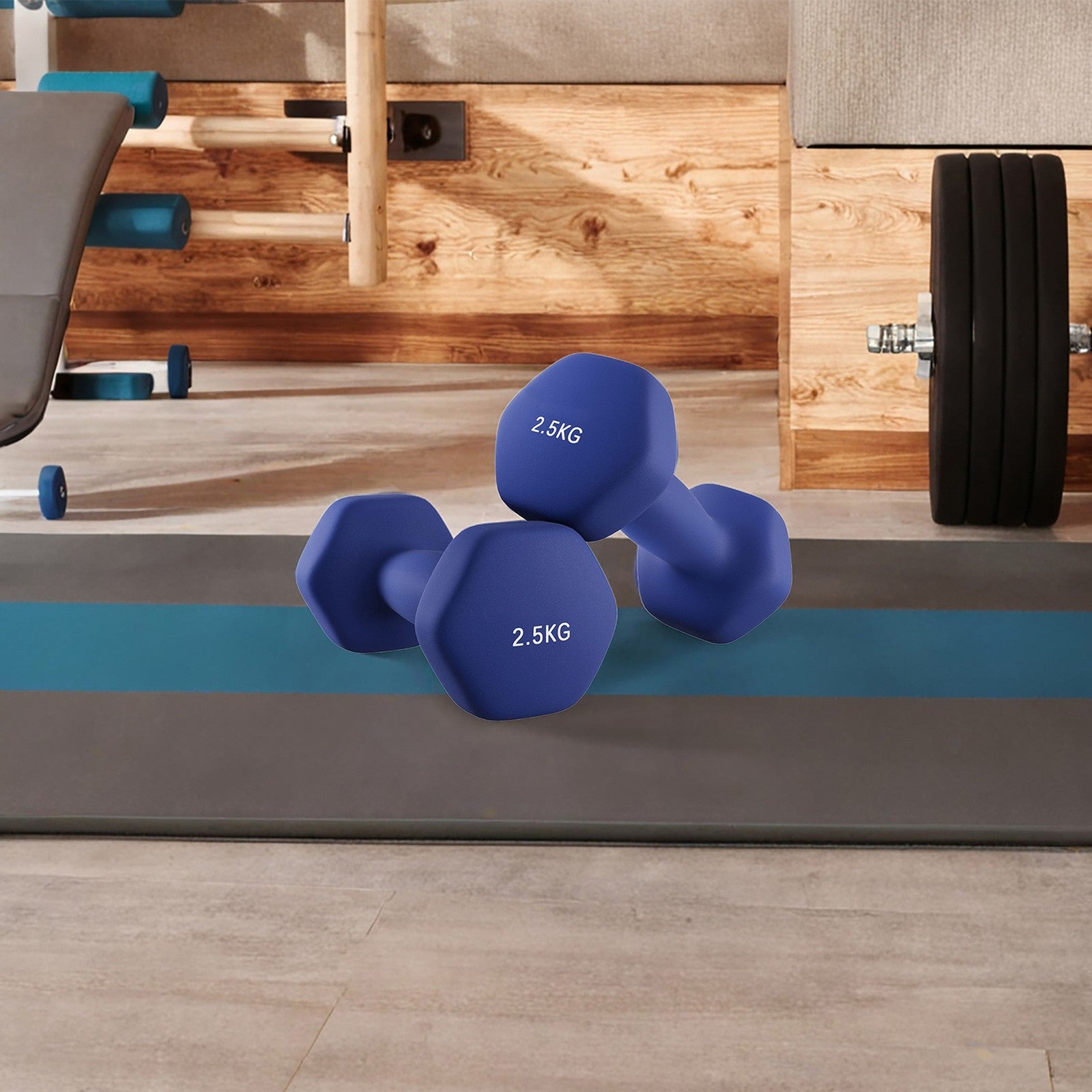 Set of 2 Neoprene Dumbbells - Harbor Blue - Vinyl Coating