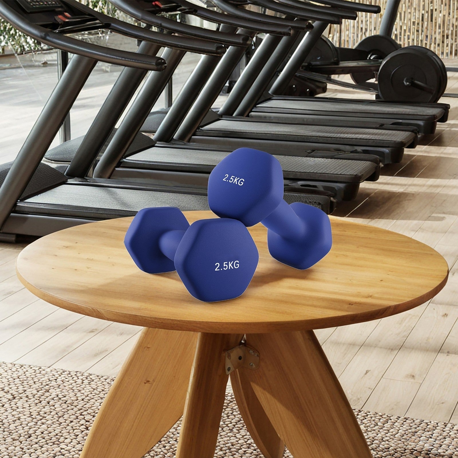 Set of 2 Neoprene Dumbbells - Harbor Blue - Vinyl Coating
