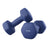 Set of 2 Dumbbells - Cast Iron and Neoprene Coating - Blue