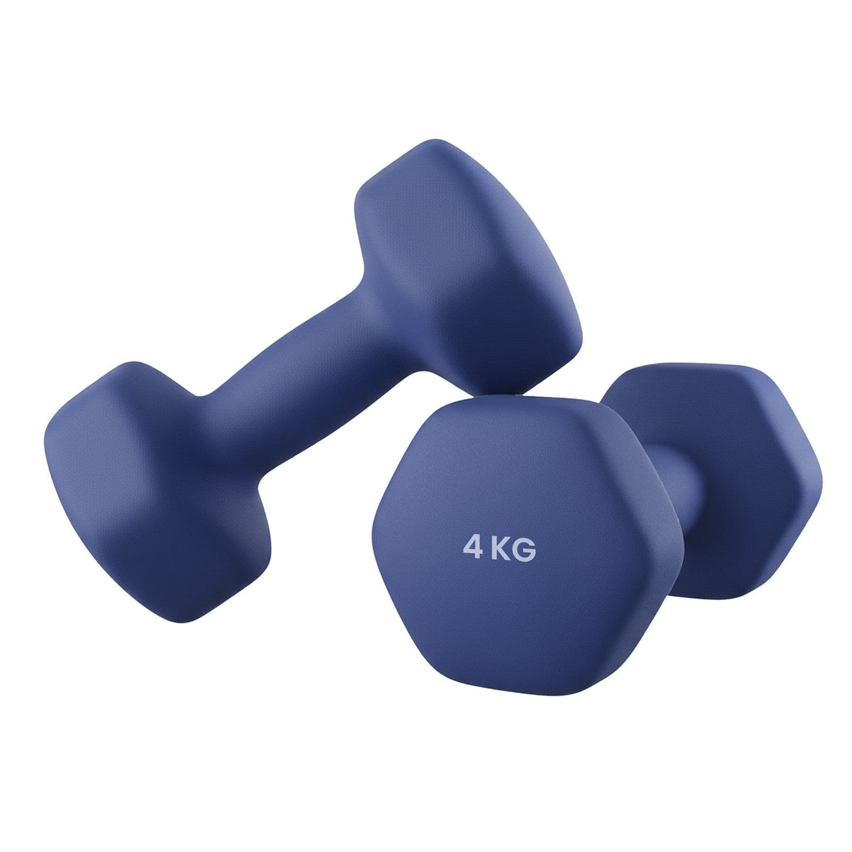 Set of 2 Dumbbells - Cast Iron and Neoprene Coating - Blue