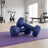 Set of 2 Dumbbells - Cast Iron and Neoprene Coating - Blue