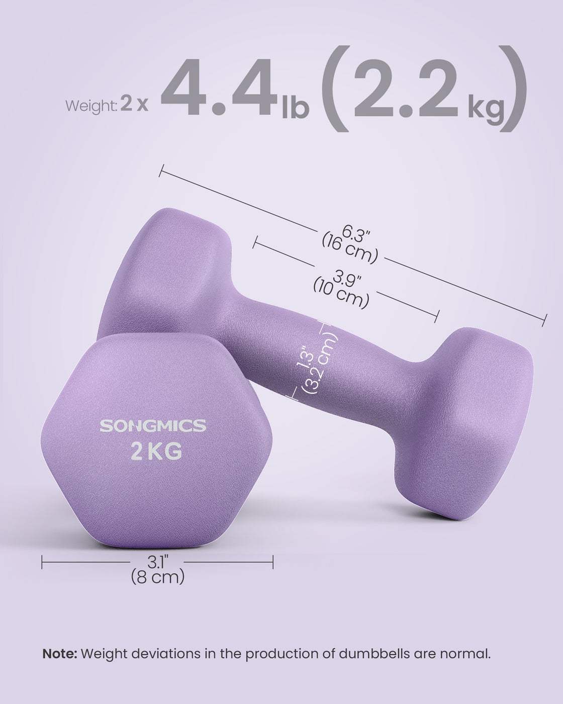 Dumbbells Set of 2 Dumbbells Strength Training Workout Fitness Training Home - Cast Iron and Neoprene Coating - Ash Purple