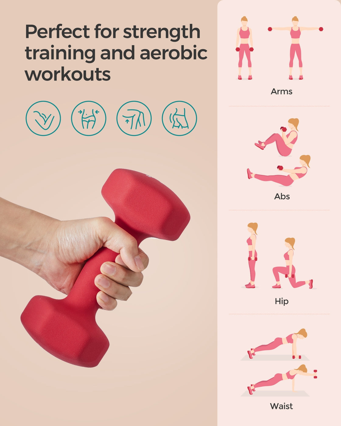 Set of 2 Dumbbells - Cast Iron and Neoprene Coating