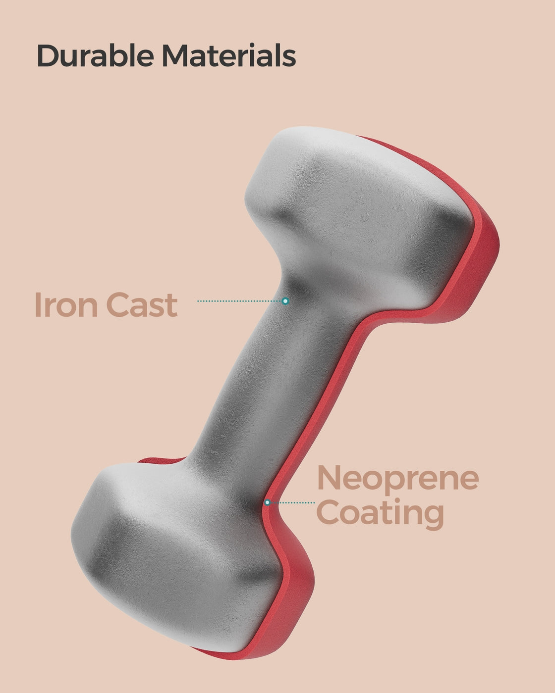 Set of 2 Dumbbells - Cast Iron and Neoprene Coating