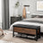 Shoe Storage Bench - Steel - Hazelnut Brown and Black - Padded Seat with Shoe Shelf