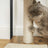 Cat Tree - Engineered Wood - Rustic Brown - Multi-functional with Scratching Post and End Table