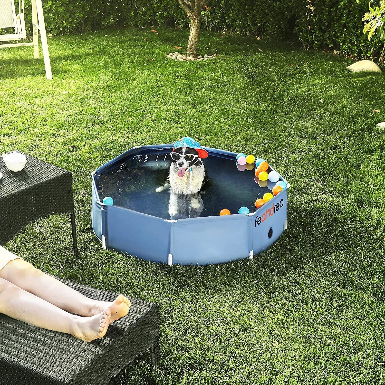 Foldable Pet Swimming Pool - Blue - PVC