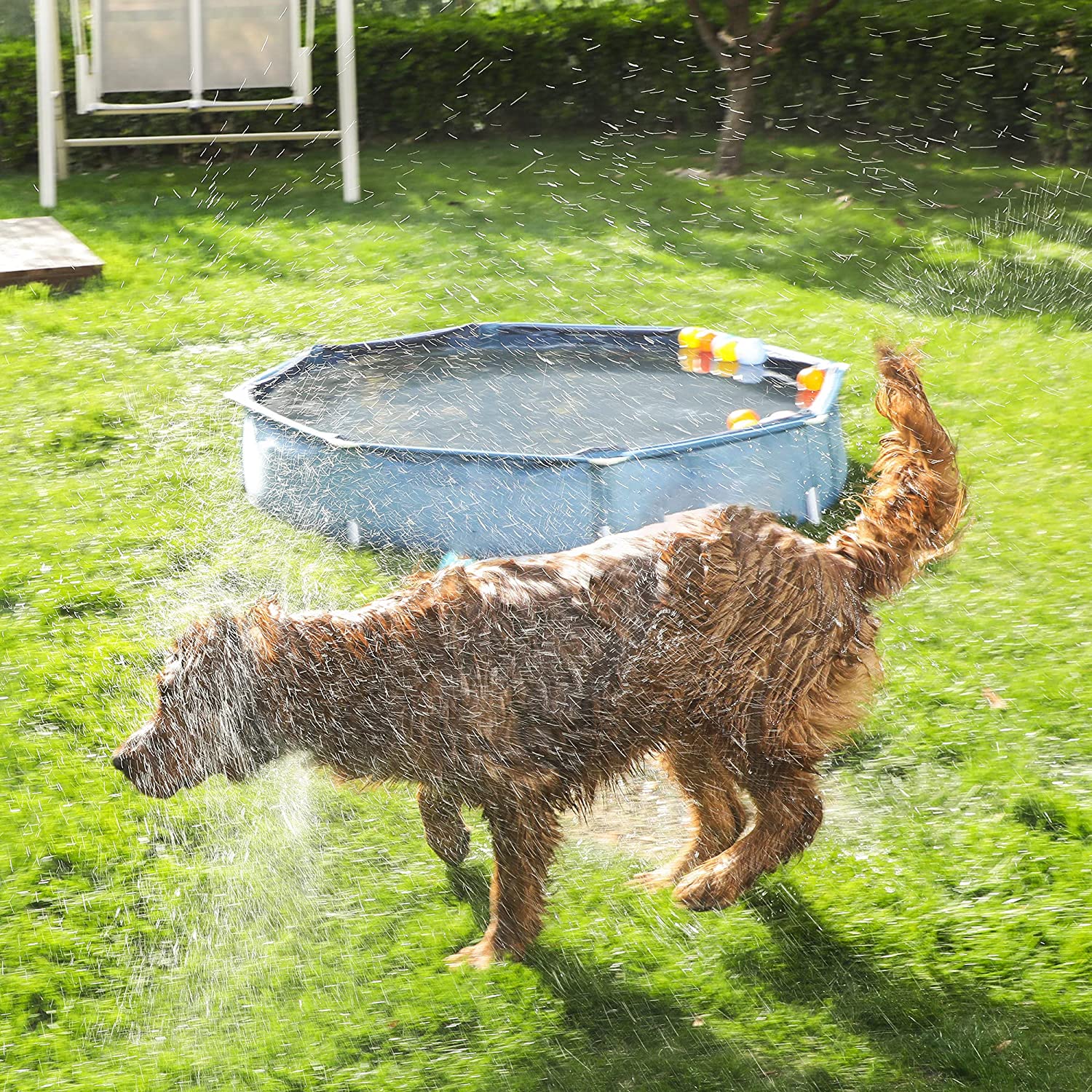 Portable Pet Swimming Pool - Blue - Foldable