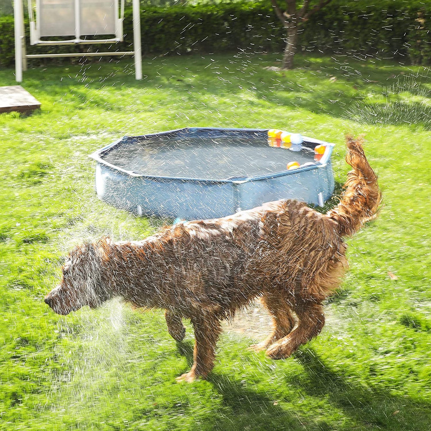 Portable Pet Swimming Pool - Blue - Foldable