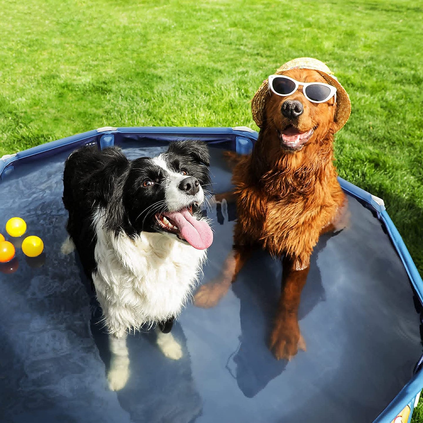 Collapsible Pet Bath Tub - Blue - PVC